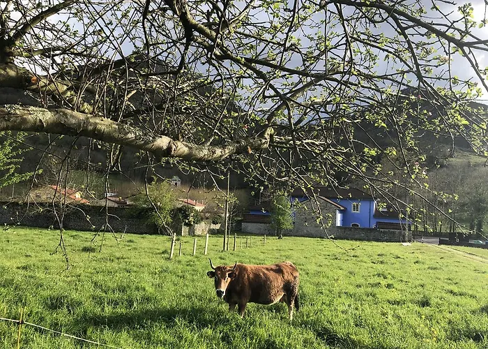 - Pena Santa Benia De Onis